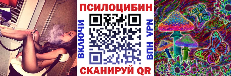 Псилоцибиновые грибы Psilocybe  ссылка на мегу онион  Воронеж 
